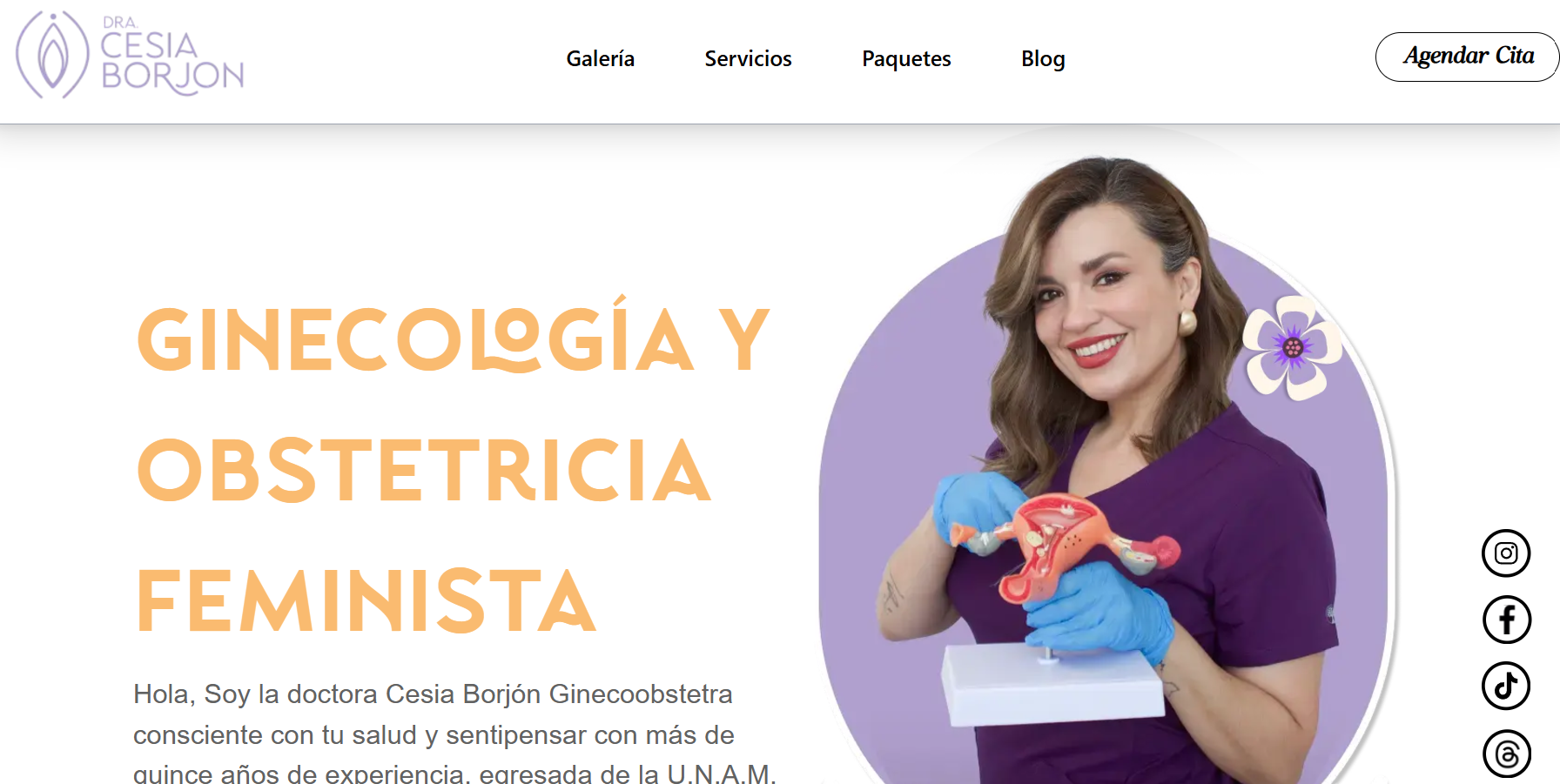 Cesiaborjon.com